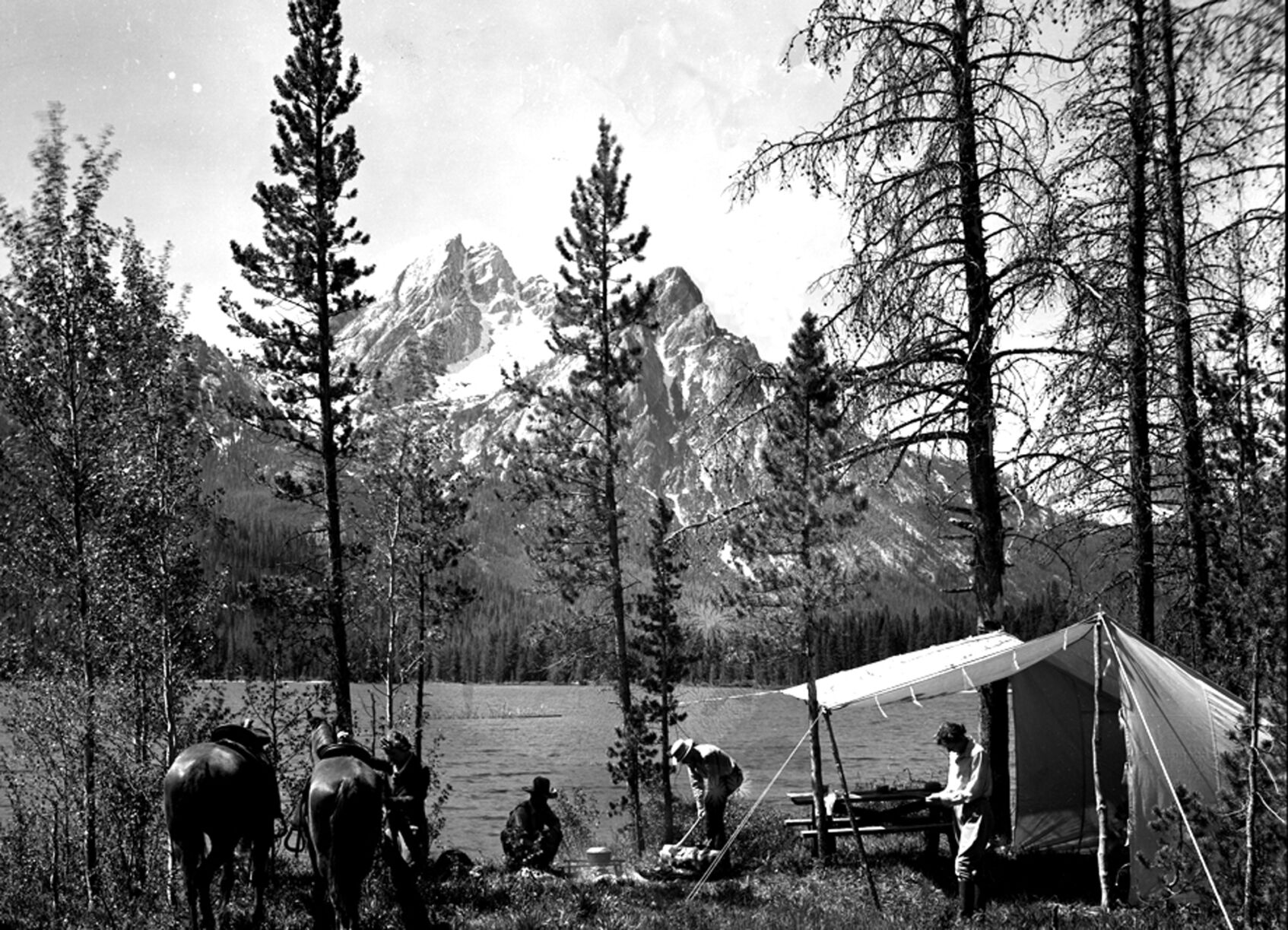 Sawtooths